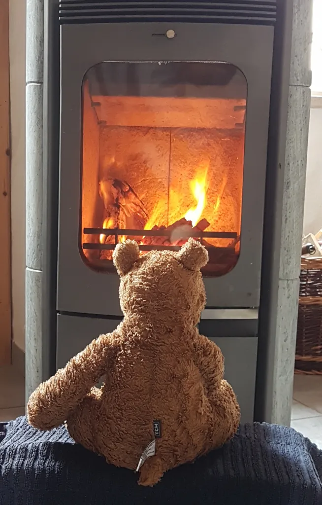 Der Bär sitzt vor dem Kamin und sieht sich die Flammen an. Es sieht sehr meditativ aus.