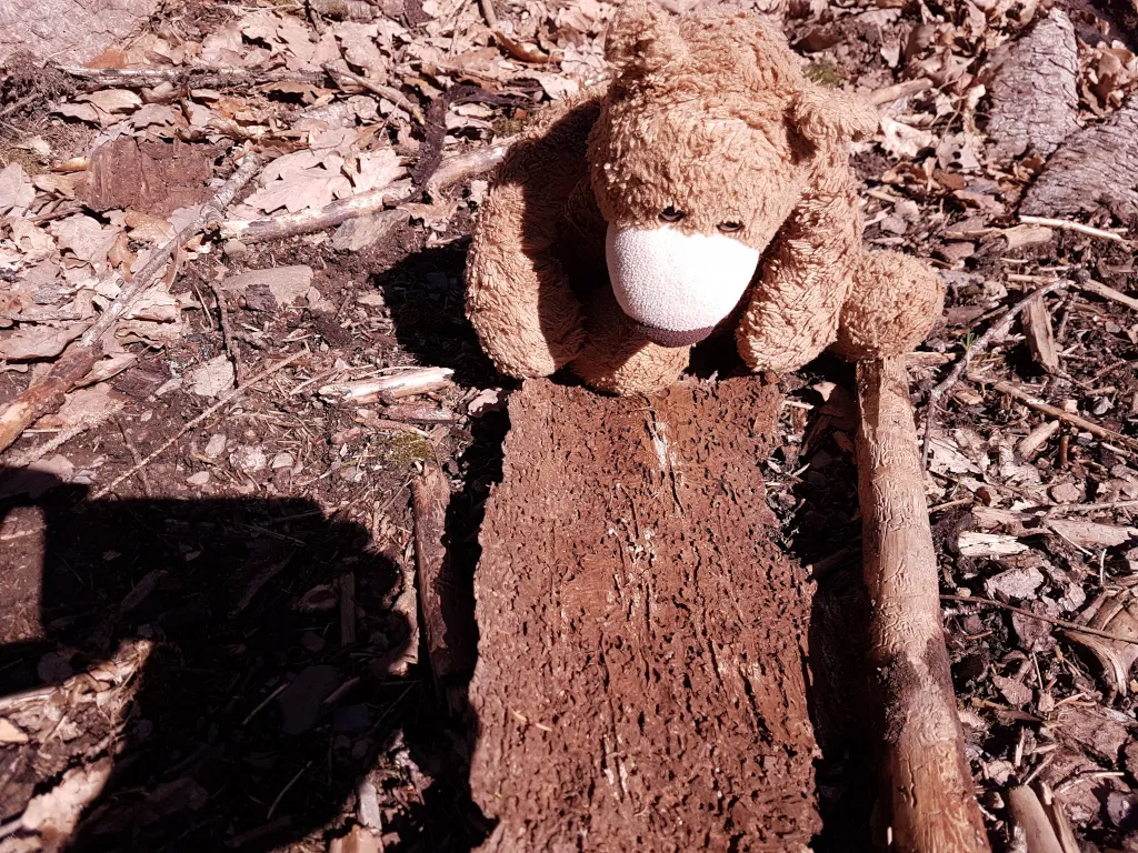 Es gibt haufenweise solcher Schriftstücke im Wald!