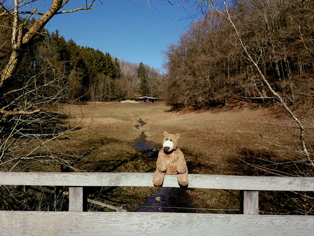 Der kleine Bär sitzt auf einem Zaun. Der Himmel ist strahlend blau und die Sonne scheint. Im Hintergrund ist ein Tal zu sehen, umgeben von Wäldern.