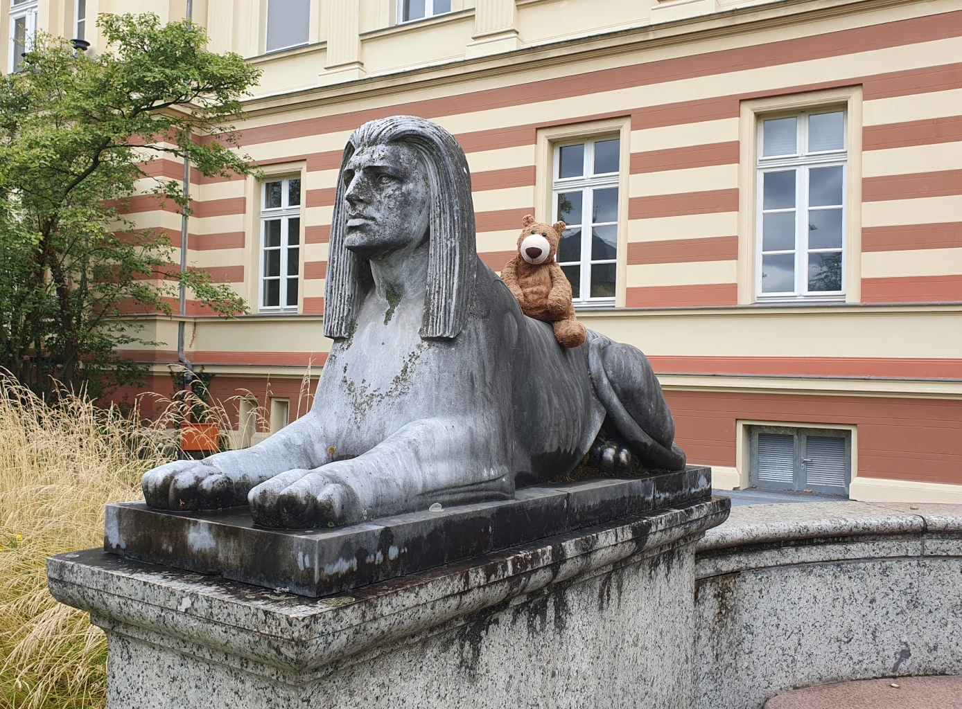 Der Bär sitzt auf einer großen Statue.