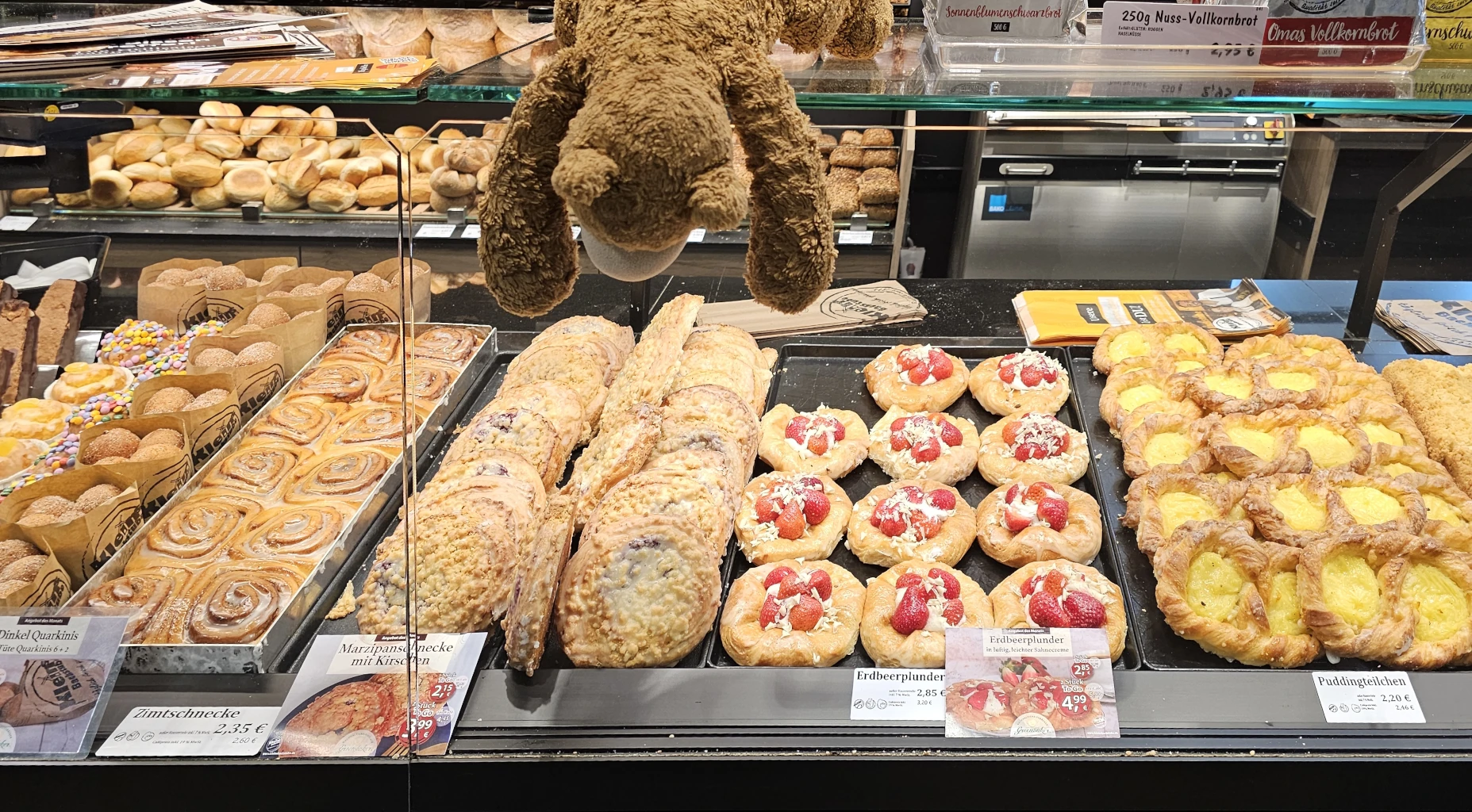 ein Bär guckt sich Kuchen an